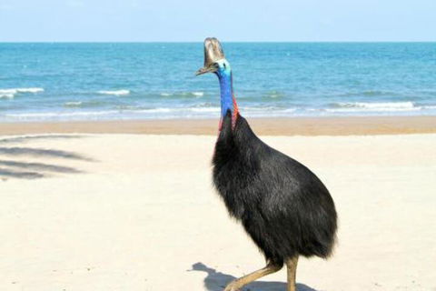 Kirrama 3 - Accommodation Rockhampton 4