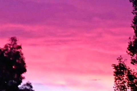 Abelia BIG SPA NO 1 Cottage - Accommodation Rockhampton 6