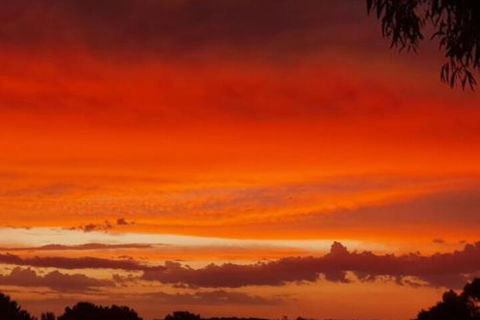 Abelia BIG SPA NO 1 Cottage - Accommodation Rockhampton 4