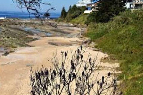 Surf Side Palms 12 - Accommodation Rockhampton 7