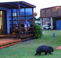 BIG4 Kelso Sands Holiday Park - Accommodation Rockhampton