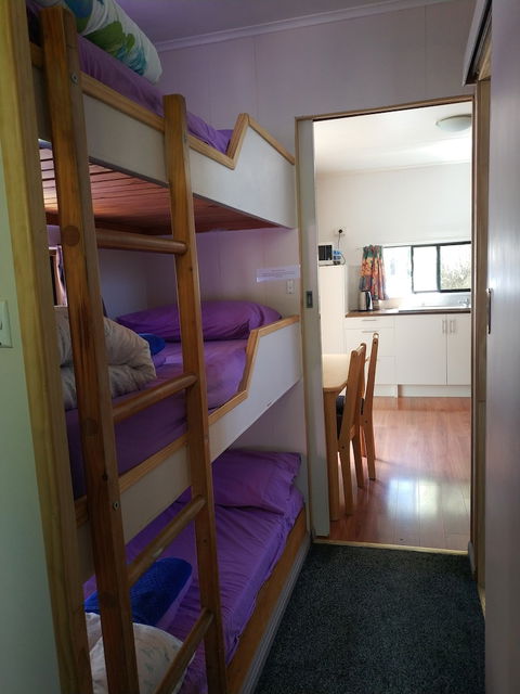 Zeehan Bush Camp - Accommodation Rockhampton 5