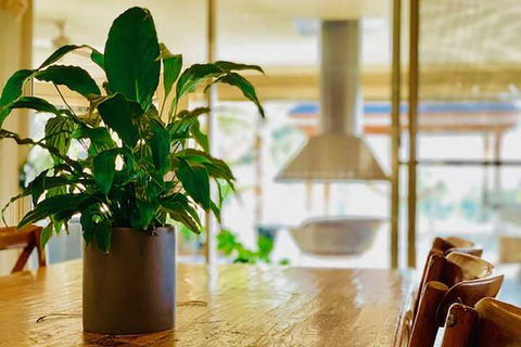 Grand Gippsland Home Sleeps Up To 28 - Accommodation Rockhampton 4