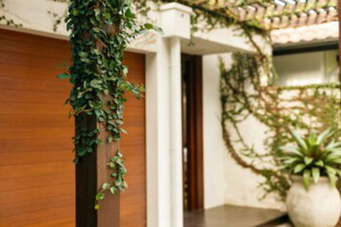 ESPRIT 2 PALM COVE BRAND NEW - Accommodation Rockhampton 0