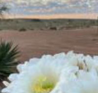 White Cliffs Underground Motel - Accommodation Rockhampton