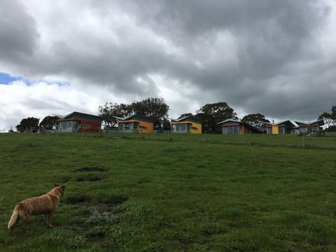 Lush Pastures - Accommodation Rockhampton 1