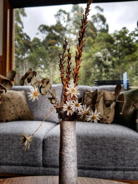 Southern Forest Accommodation - Accommodation Rockhampton 1