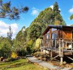 Southern Forest Accommodation - Accommodation Rockhampton
