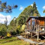 Southern Forest Accommodation - Accommodation Rockhampton 0