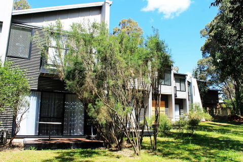 Margarets Forest - Accommodation Rockhampton 2