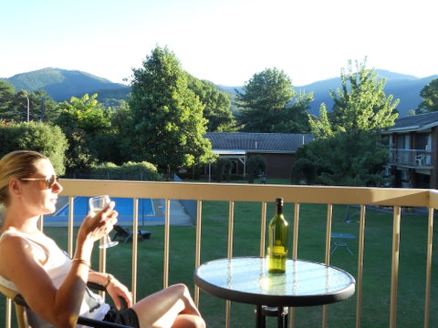 Bogong View Motor Inn - Accommodation Rockhampton 6