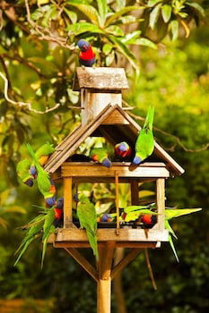Crystal Brook Tourist Park - Accommodation Rockhampton 0