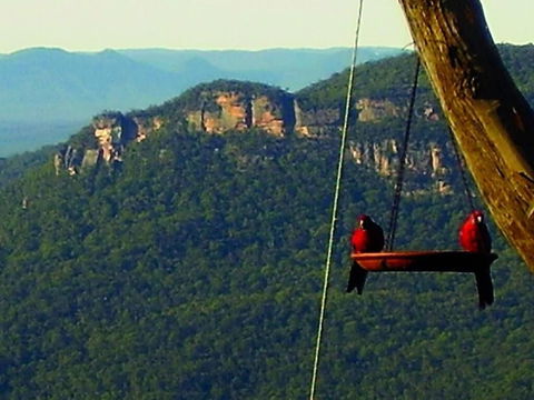 Valley Of The Waters B&B - Accommodation Rockhampton 3