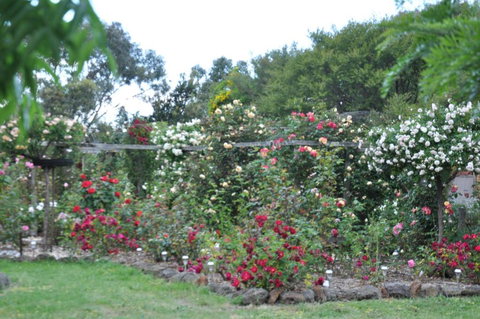 Fairy Wren Cottage Country To Coast Retreat - Accommodation Rockhampton 6