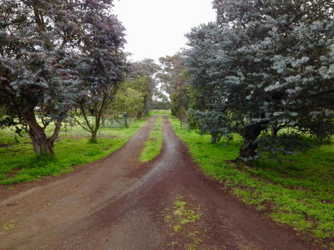 Fairy Wren Cottage Country To Coast Retreat - Accommodation Rockhampton 4