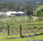 Eureka Farm - Accommodation Rockhampton
