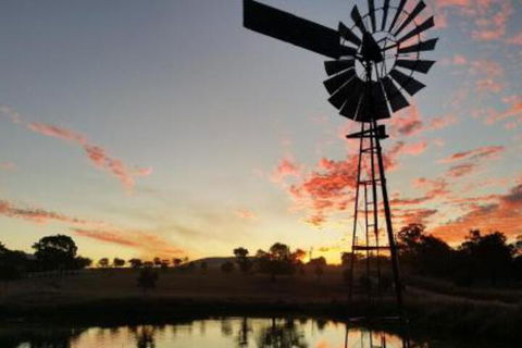 Milford Country Cottages - Accommodation Rockhampton 3