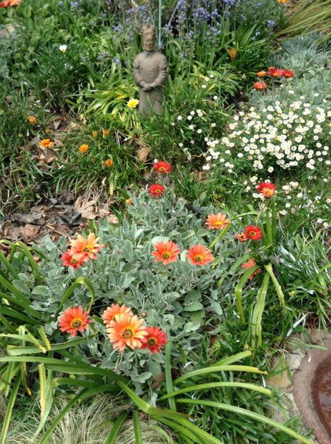 Adelaide Hills B & B Accommodation - Accommodation Rockhampton 2