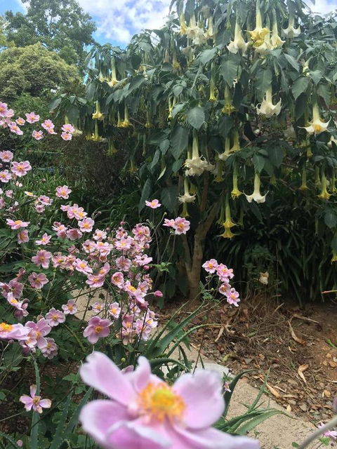 Adelaide Hills B & B Accommodation - Accommodation Rockhampton 6