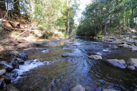 Willabrook Retreat Rest Cottage Spoil Yourself! - Accommodation Rockhampton 7
