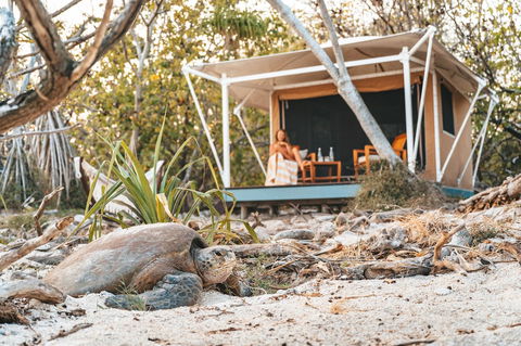 Wilson Island - Accommodation Rockhampton 0