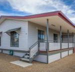 Desert Pea - Accommodation Rockhampton