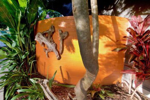 Driftwood Villa - Accommodation Rockhampton 4