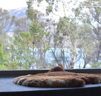 Driftwood - Accommodation Rockhampton
