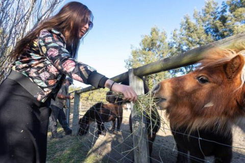 Jervis Bay Luxury Farm Escape - Accommodation Rockhampton 5