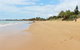 Dune On The Beach - thumb 4