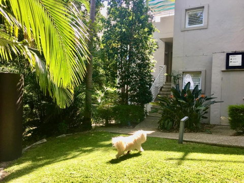 Quiet Oasis Apartment With Rooftop Spa - Accommodation Rockhampton 1