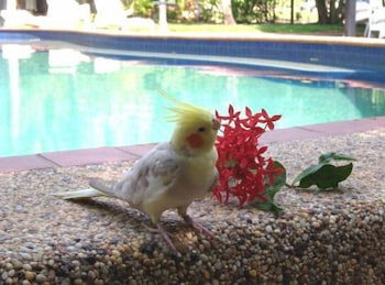 Hidden Valley Holiday Park - Accommodation Rockhampton 3