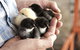 Margaret River Hideaway - thumb 0