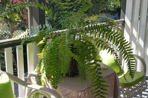 Elindale House Bed & Breakfast - Accommodation Rockhampton 4