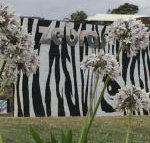 Zebras Guest House - Accommodation Rockhampton