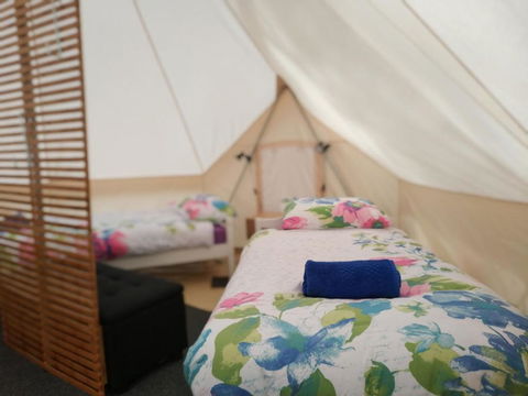 Glamping At Zeehan Bush Camp - Accommodation Rockhampton 6