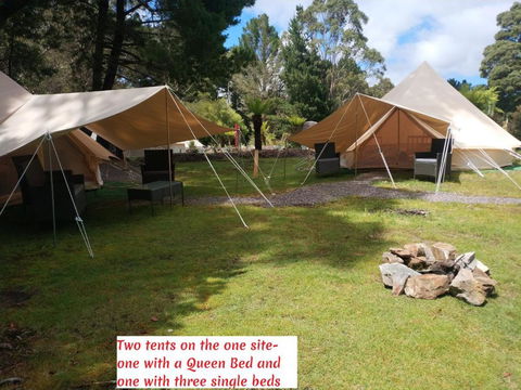 Glamping At Zeehan Bush Camp - Accommodation Rockhampton 2