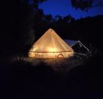 Glamping at Zeehan Bush Camp - Accommodation Rockhampton