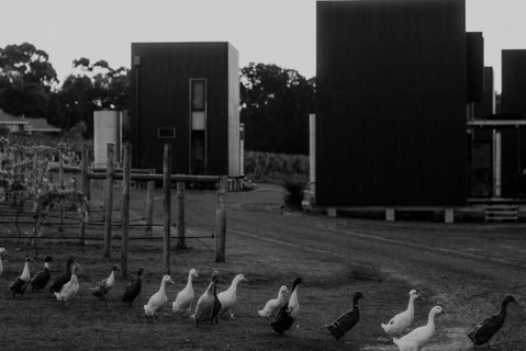 Barn Hives Yallingup - Accommodation Rockhampton 1