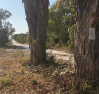 COONARR BEACH  BUNDABERG CAMPING - Accommodation Rockhampton