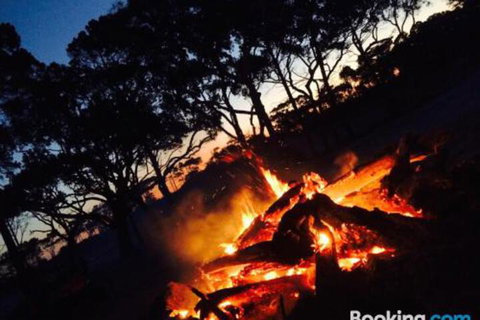 COONARR BEACH ( BUNDABERG )CAMPING - Accommodation Rockhampton 3