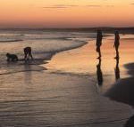 Cromarty Cottage 900m from Birubi Beach - Accommodation Rockhampton