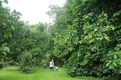 Wildwood - Accommodation Rockhampton 1