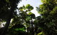 Wildwood - thumb 5