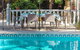 Little Cove Townhouses - thumb 1