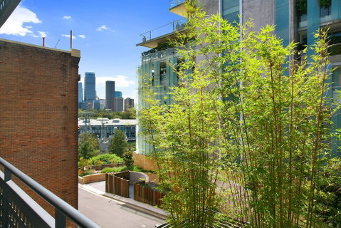 I Can View Woolloomooloo - Accommodation Rockhampton 5