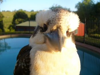 Belle La Vie B & B - Accommodation Rockhampton 3