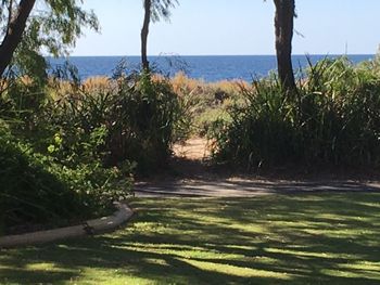 On The Shores Of Geographe Bay - Accommodation Rockhampton 5