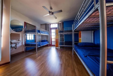 Mad Monkey Backpackers Bayswater - Accommodation Rockhampton 5
