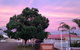 Charles Rasp Motor Inn & Cottages - thumb 2